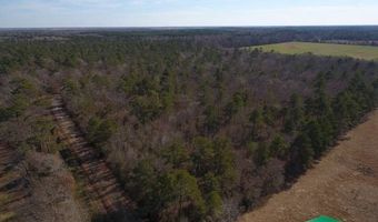 Yeldell Rd, Bastrop, LA 71220