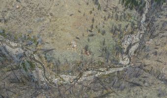 122 Black Hollow Rd, Bellvue, CO 80512