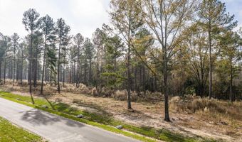 158 Beagle Chase Dr, Appling, GA 30802