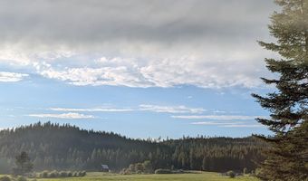 447 S Beaver Lake Rd, Athol, ID 83801
