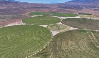 51955 Wilder Creek Rd, Denio, NV 89404