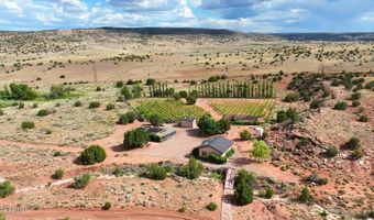 14 COUNTY ROAD 5309, Concho, AZ 85924