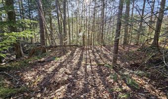 512 Woodbury Mountain Rd, Calais, VT 05648