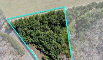 BRUSHY Ln, Arley, AL 35541