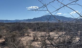 10 Ac W Bird Of Paradise Trl, Cochise, AZ 85606