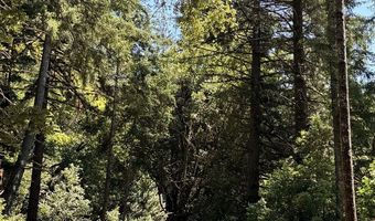 Silver Creek RD 2, Gold Beach, OR 97444