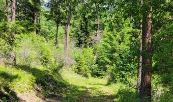 Smugglers Ln Tract A E, Bonners Ferry, ID 83805