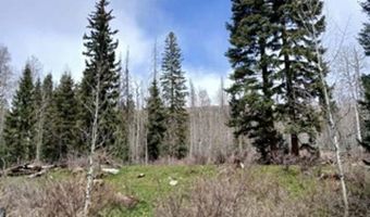 4558 Middle Mountain Rd, Bayfield, CO 81122