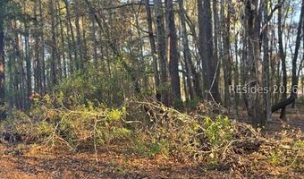 Freeman Street lot 12, Brunson, SC 29911