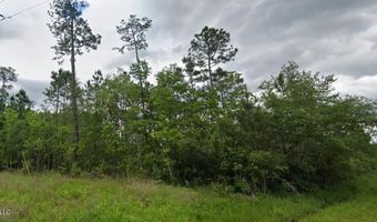 Amazon Street, Bay St. Louis, MS 39520
