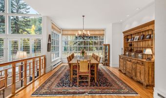 431 W Hopkins Ave, Aspen, CO 81611