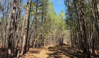 MOUNTAIN CUT RD lot D, Appomattox, VA 24522
