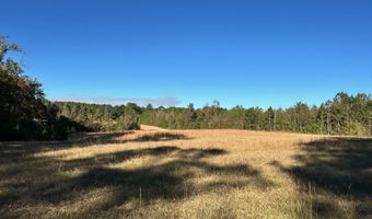 Clara Foote Road, Braxton, MS 39044