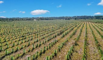 2000-4 Sellers Rd NW, Baxley, GA 31513