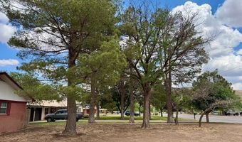 503 E Hendryx, Alpine, TX 79830