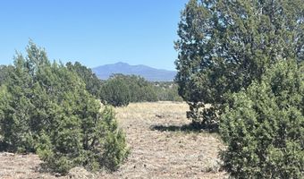 310 Un Named Rd, Ash Fork, AZ 86320