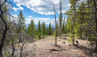 NHN Rosa Trail, Anaconda, MT 59711