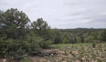 61 Raney Rd, Ash Fork, AZ 86320