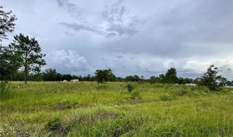 NE 96 Avenue, Archer, FL 32618