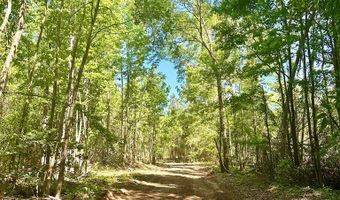 0 AL SR 223, Banks, AL 36005
