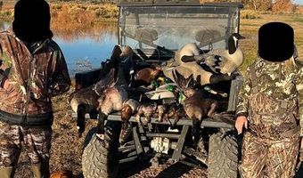 777 County Road 977, Arboles, CO 81147