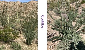 0 Alley Rd, Ajo, AZ 85321