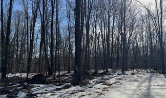 County Hwy G lot 2, Winter, WI 54896