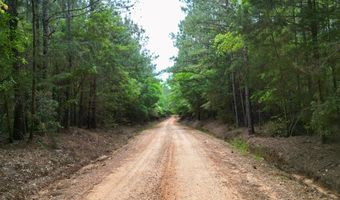 00 County Road 107, Ariton, AL 36311