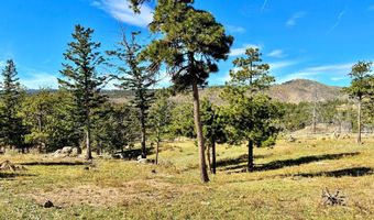3235 Davis Ranch Rd, Bellvue, CO 80512
