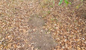 001 CR 532, Avalon, MS 38917