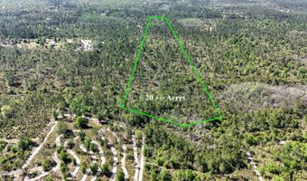 NW Miller Road, Altha, FL 32421