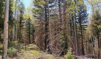 Lot 828 San Felip Circle, Angel Fire, NM 87710