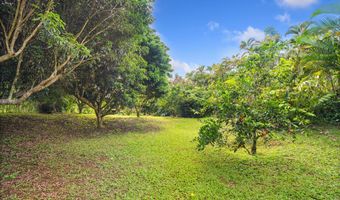 6250 OLOHENA Rd 2, Kapaa, HI 96746