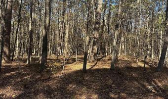 4 Holgar Ln, Hot Springs Village, AR 71909