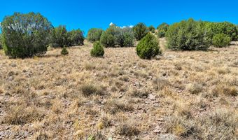 00 N Hilltop Trl Lot D2, Chino Valley, AZ 86323