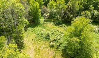 1361 Weaver Hollow Rd, Andes, NY 13731