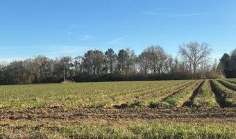 S Hospital Drive, Abbeville, LA 70510