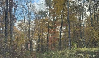 Carson Road, Ancram, NY 12502