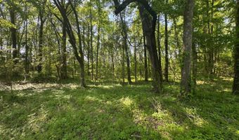 0001 Old Highway 471, Brandon, MS 39042
