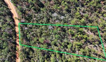 Grand Mesa Avenue, Alford, FL 32420