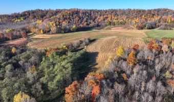 TBD Bear Pen Rd, Arkansaw, WI 54721