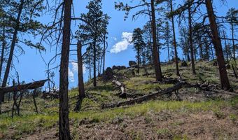 Old Camp Rd, Bellvue, CO 80512