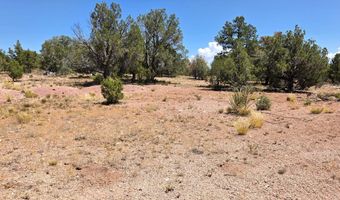 3200 W Poppy Rd, Ash Fork, AZ 86320