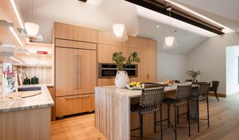 227 E Main St, Aspen, CO 81611