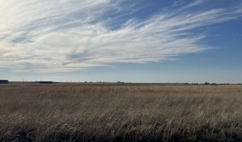 FM 2130, Anton, TX 79313