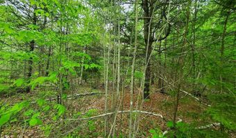 77 S Princeton Rd, Alexander, ME 04694