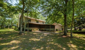 3382 Antioch Greggs Rd, Adel, GA 31620