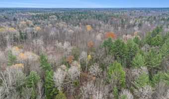 VL Wildwood Road, Alger, MI 48610