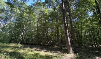 104 Th Ave, Allegan, MI 49010