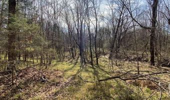 0 HIGHWAY 231 Tract - 27+/- Ac, Ashville, AL 35953